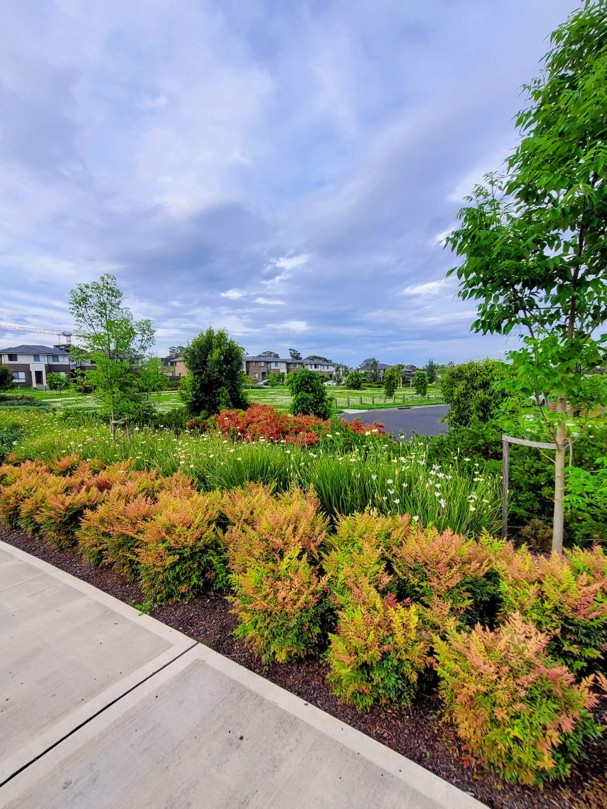 Landscaping
